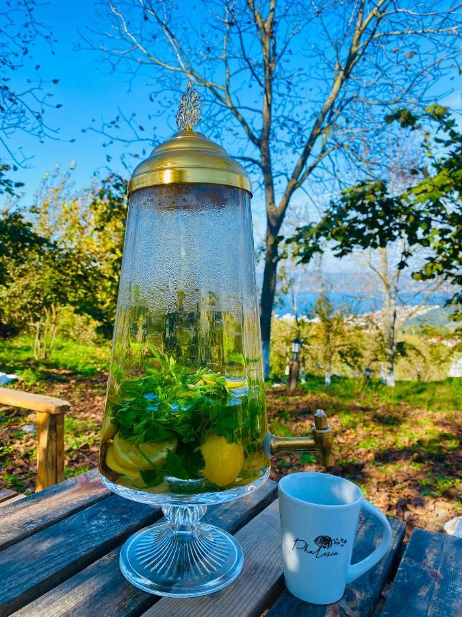 Phalesia Glamping Otel 사판자 외부 사진