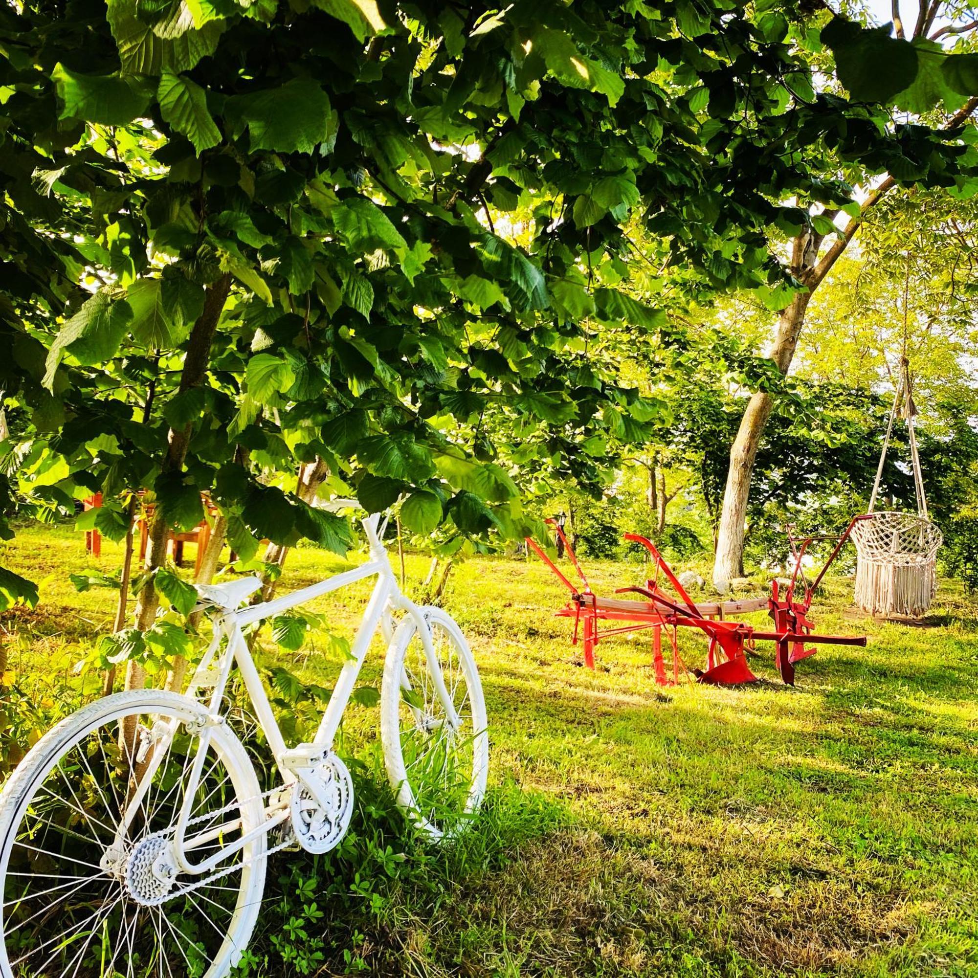 Phalesia Glamping Otel 사판자 외부 사진